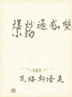 爆炒通感双胞胎小狗