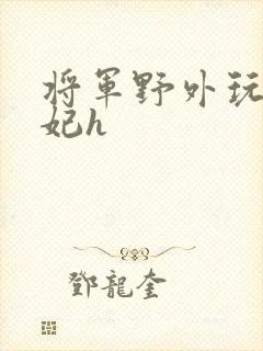 将军野外玩弄贵妃h