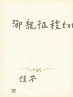 御龙征程txt