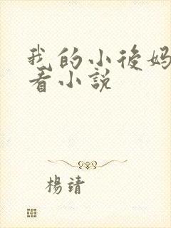 我的小后妈免费看小说