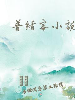 普绪客小说
