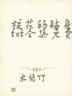 校花的贴身保镖txt全集免费下载