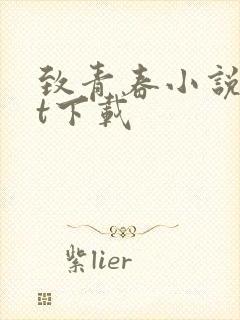 致青春小说txt下载