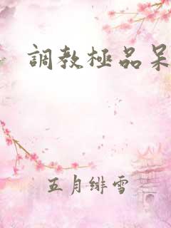 调教极品呆夫