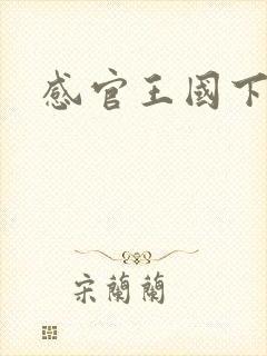 感官王国下载