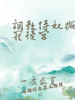 调教侍奴撅臀男宠后宫