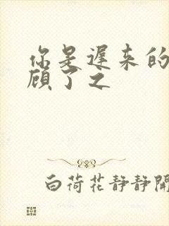 你是迟来的欢喜顾了之