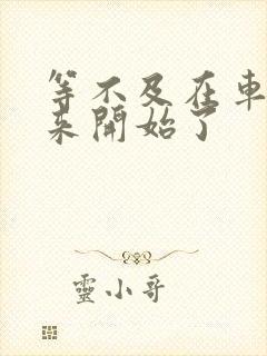 等不及在车里就来开始了