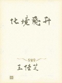 化境飞升