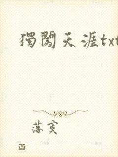 独闯天涯txt