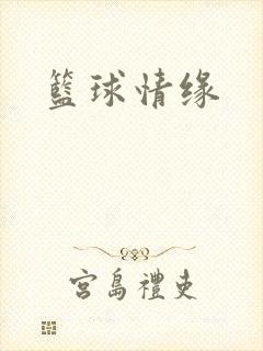 篮球情缘