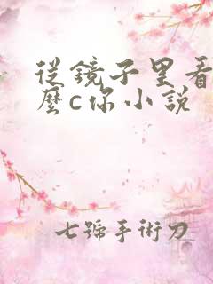 从镜子里看我怎么c你小说