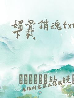 媚骨销魂txt下载