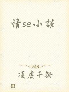 情se小说