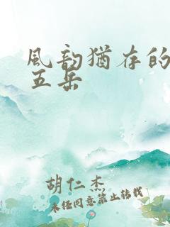 风韵犹存的四十五岳