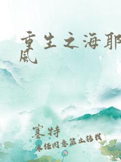 重生之海耶斯旋风
