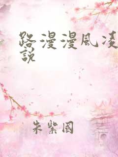 路漫漫风凌轩小说