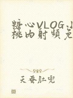 糖心VLOG小桃内射频免费
