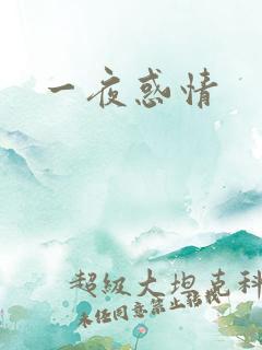 一夜惑情