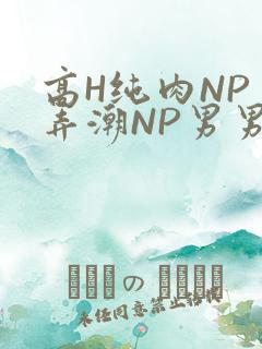 高H纯肉NP 弄潮NP男男