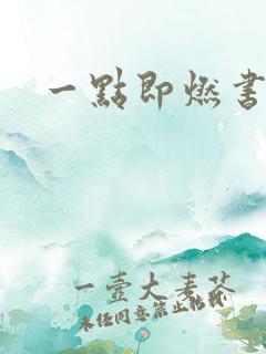 一点即燃书包网