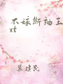 不嫁断袖王爷txt