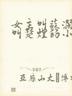 女主叫苏澜男主叫楚煜的小说