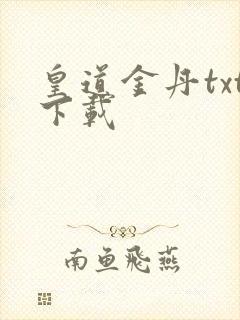 皇道金丹txt下载