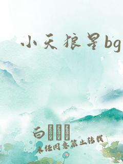小天狼星bg
