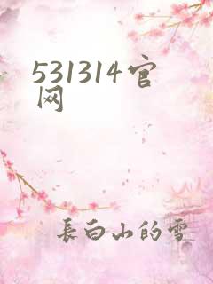 531314官网