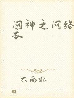 网神之网络隐形衣