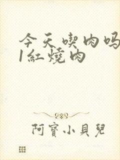 今天吃肉吗1V1红烧肉