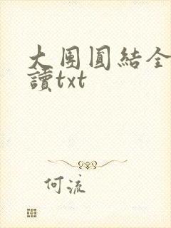 大团圆结全文阅读txt