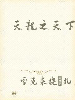 天龙之天下有我