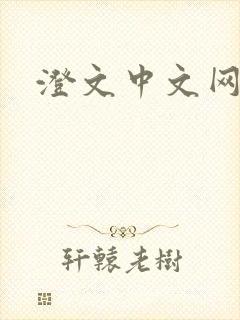澄文中文网