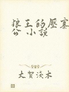 狼王的压寨小相公 小说