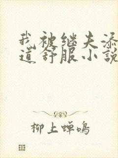 我被继夫添我阳道舒服小说