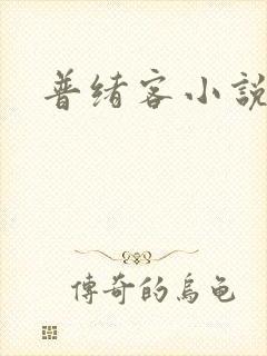 普绪客小说