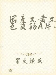 国产又黄又大又色爽的A片小说