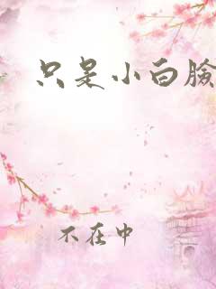 只是小白脸