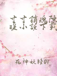 寸寸销魂陈聪王暖小说下载