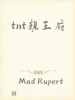 tnt亲王府
