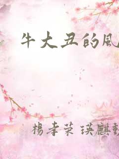 牛大丑的风流记