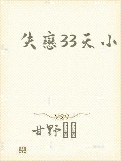 失恋33天小说