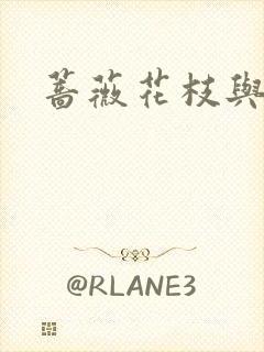 蔷薇花枝与灰烬