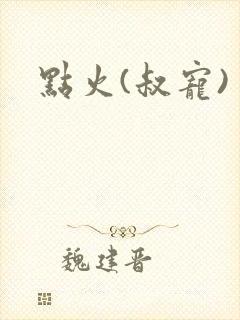 点火(叔宠)