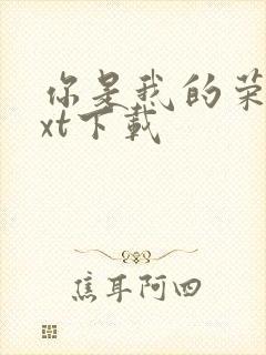 你是我的荣耀txt下载