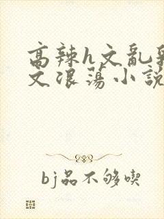 高辣h文乱乳h文浪荡小说苏柔