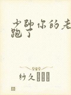 少帅你的老婆又跑了