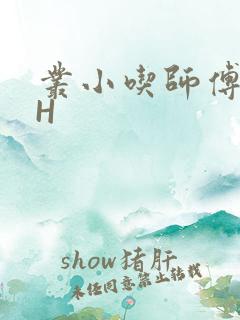丛小吃师傅的HH